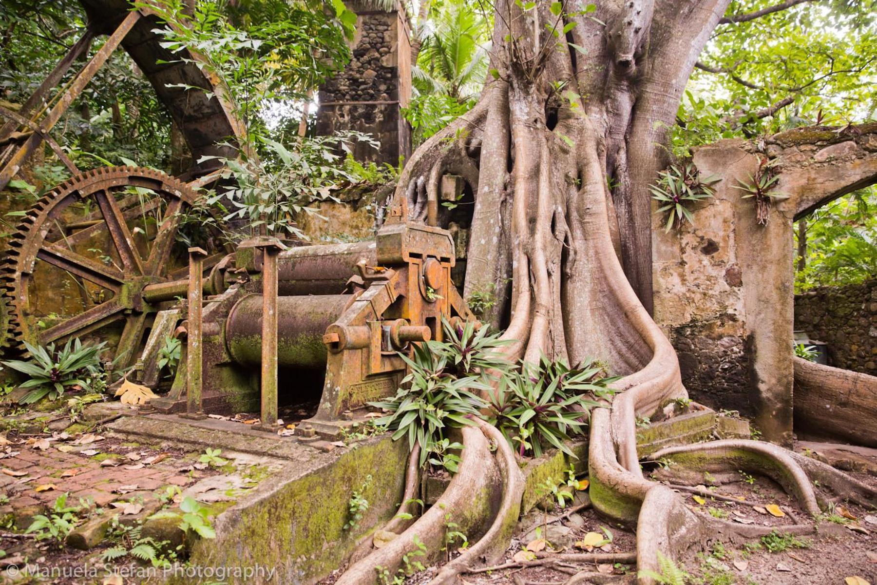 Villa Balenbouche Estate Laborie Esterno foto