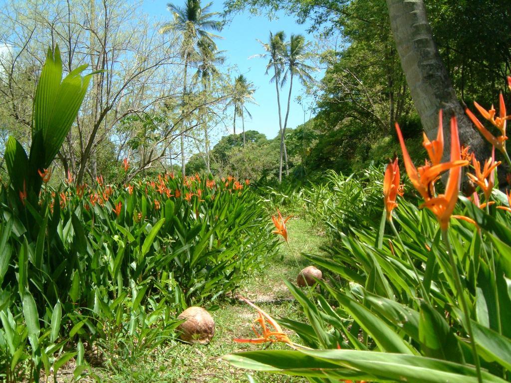 Villa Balenbouche Estate Laborie Esterno foto