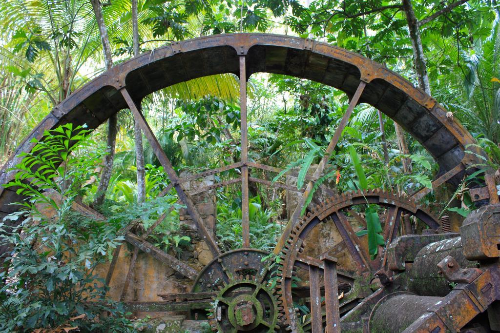 Villa Balenbouche Estate Laborie Esterno foto